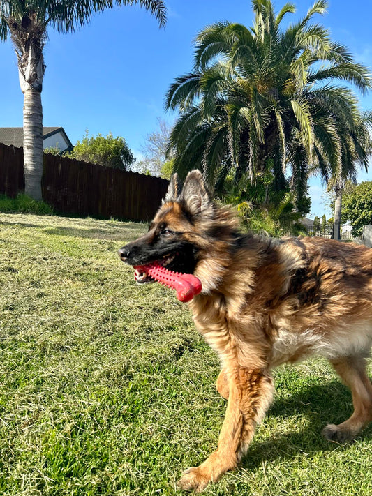 Food Grade Durable Dog Bone Toys -  Tooth Grinding Stick Chew Bone  - Red/Black