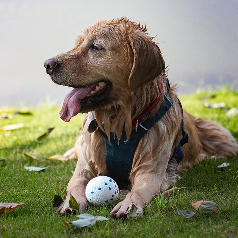 Food Grade Durable Dog Ball Toys - Elastic E-TPU Chew Toy - Orange only