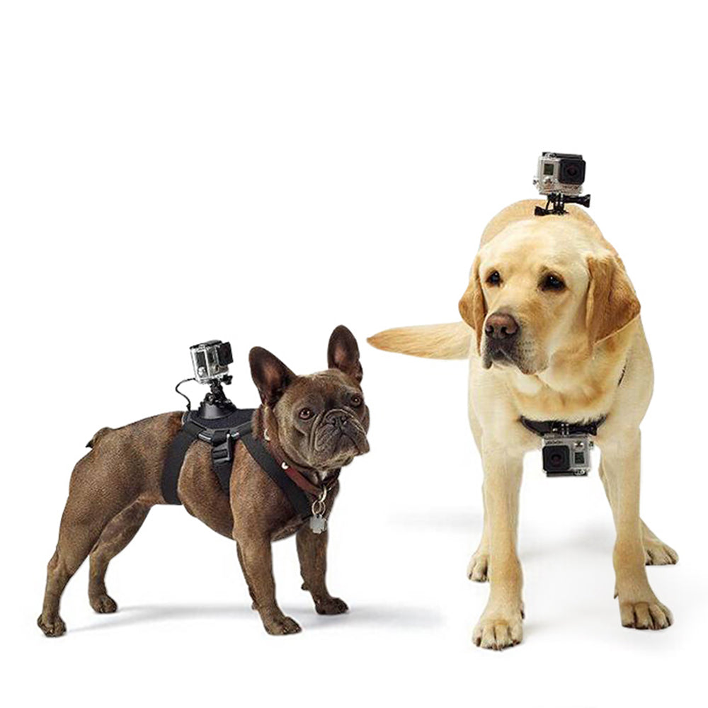 Adjustable Dog Harness Strap for Gopro