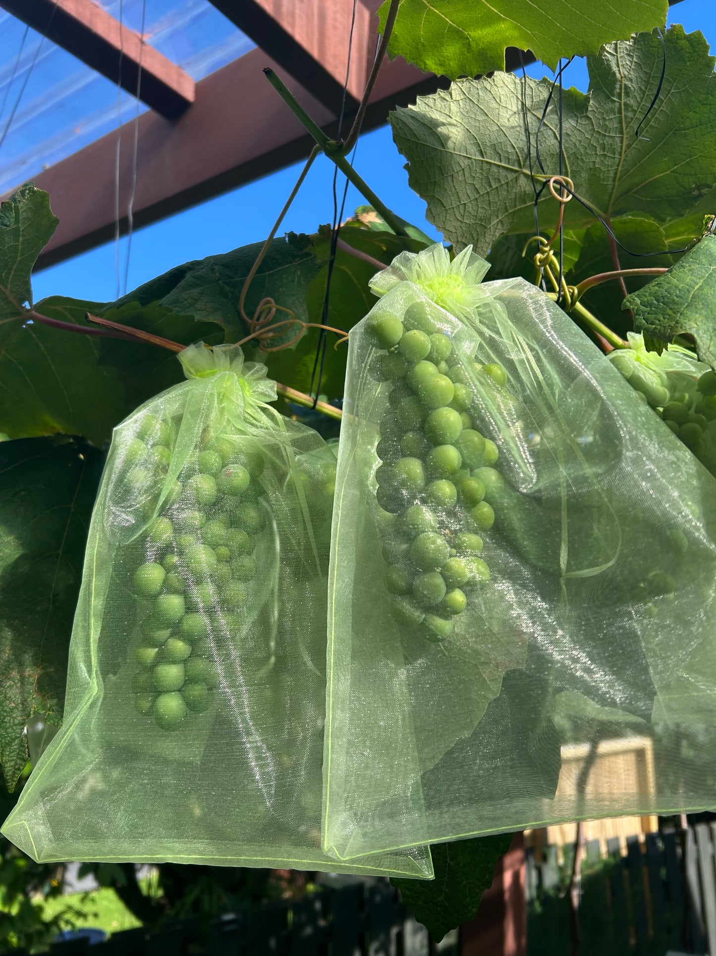 30 Pack Fruit Protection Bags 20x30cm + 20m Garden Twist Tie with Cutter – Reusable Anti-Bird & Pest Control Mesh Bags for Grapes Strawberries Figs with Plant Tying Wire for Gardening