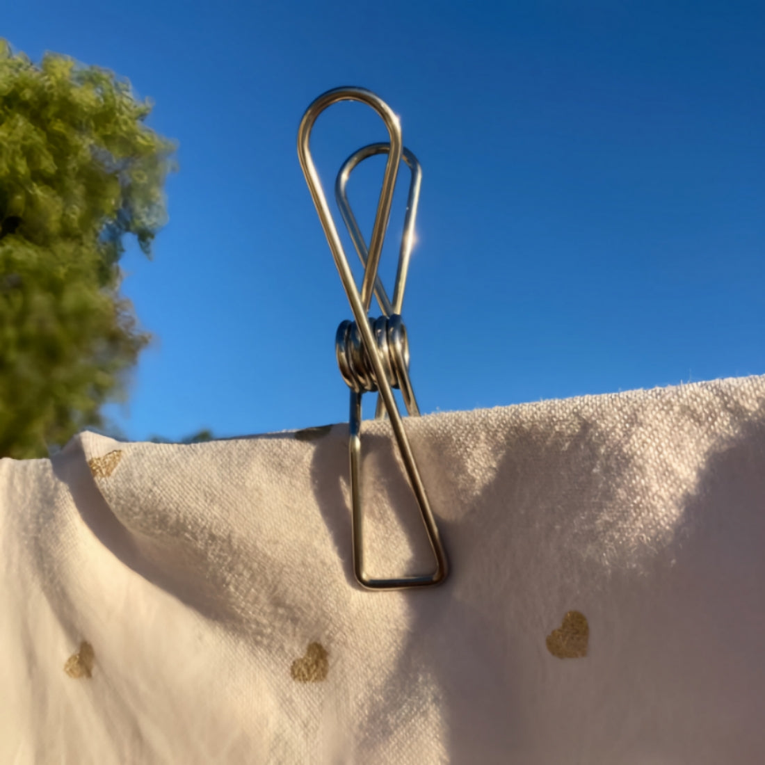 SS316 Marine Grade Stainless Steel Laundry Clips Pack of 10