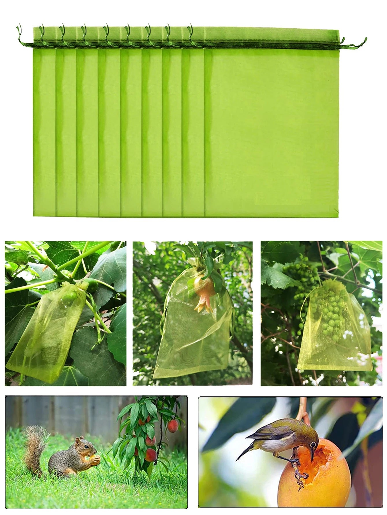 20pcs Fruit Protection Bags Anti-Bird Netting Strawberry Figs Grapes Mesh Bag