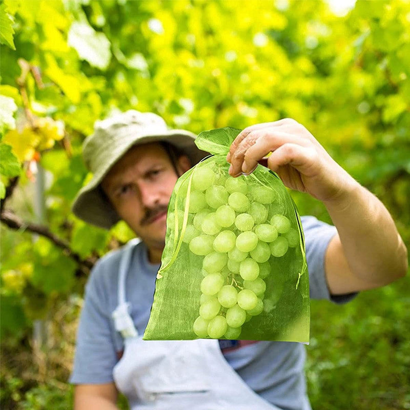 20pcs Fruit Protection Bags Anti-Bird Netting Strawberry Figs Grapes Mesh Bag