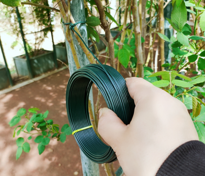 Coated Garden Plant Tie Wire 2mm x 30.5m - Green