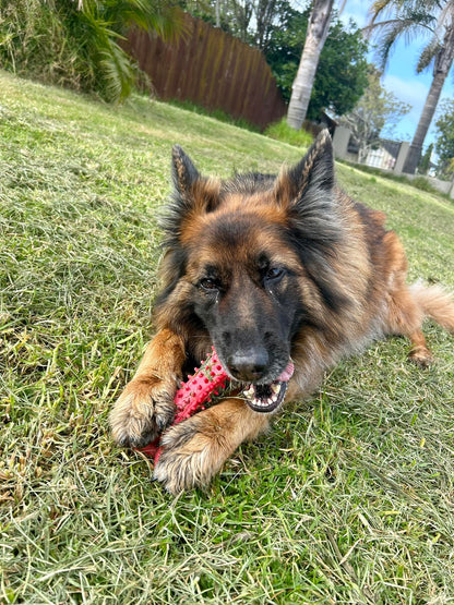 Food Grade Durable Dog Bone Toys -  Tooth Grinding Stick Chew Bone  - Red/Black